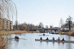 Mosterdtocht 2013 1