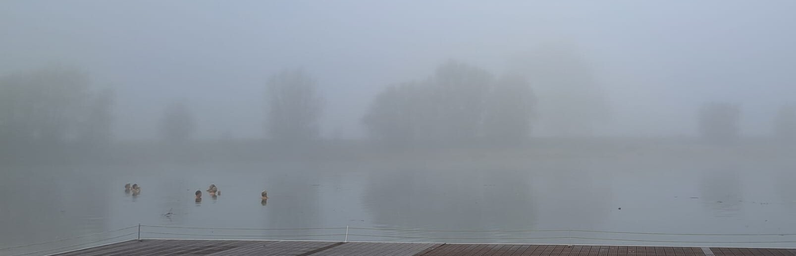 winterzwemmen-isala-foto-judith-v2